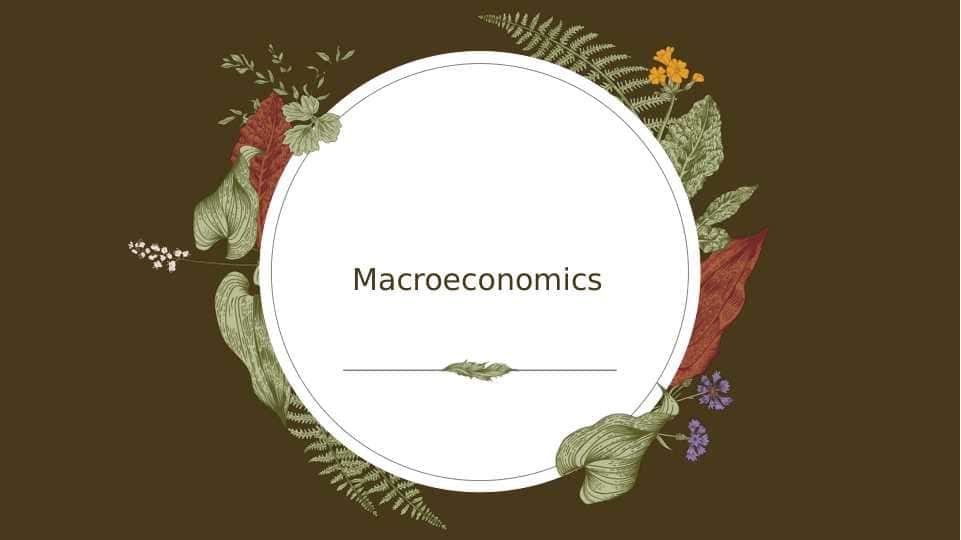 Macroeconomics
