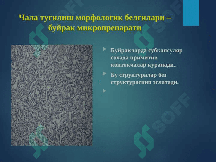 Перинатал патология 8