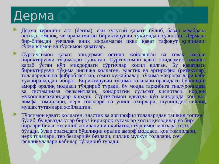 терининг тузилиши,элементлари 6
