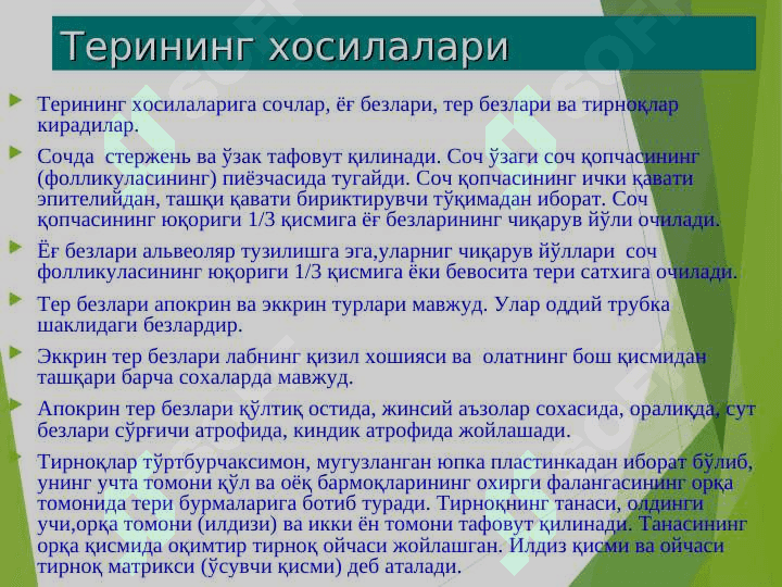терининг тузилиши,элементлари 8