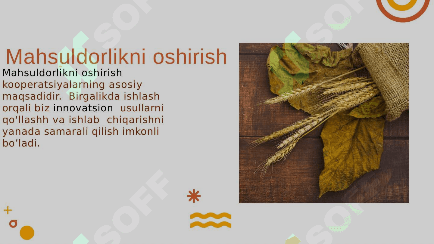 Agrosanoat_majmuasida_kooperatsiya_munosabatlarini_shakllantirish 8