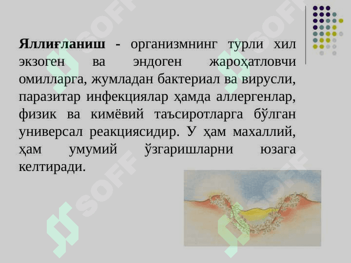 Steroid va nosteroid  yallig‘lanishga qarshi dori vositalari 2