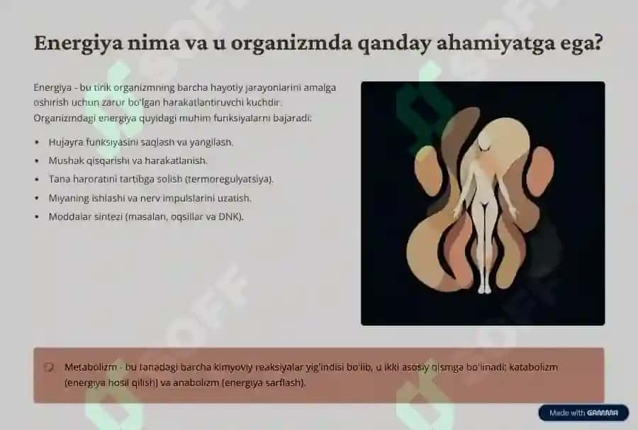 Metabolizm jarayonida energiya 2