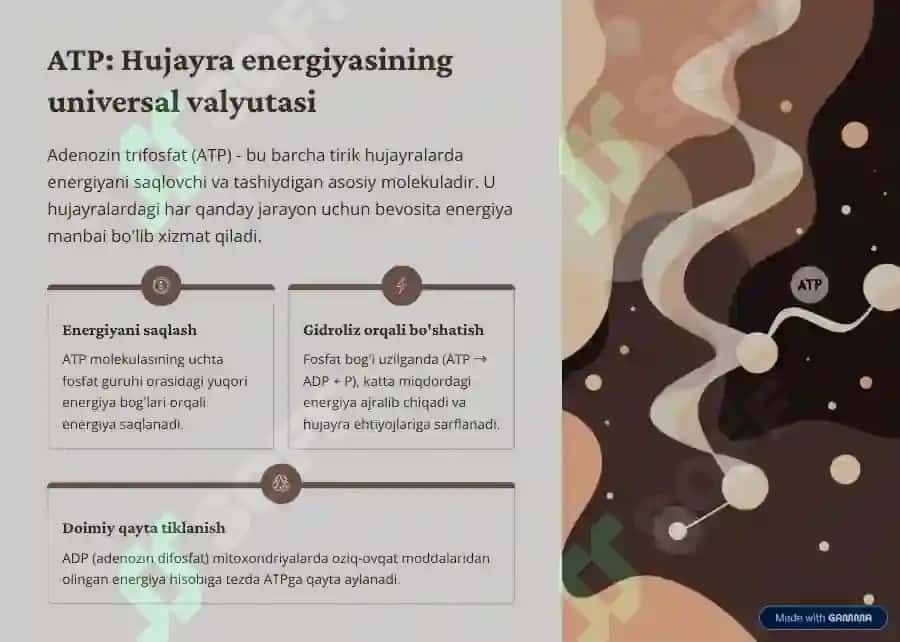 Metabolizm jarayonida energiya 3
