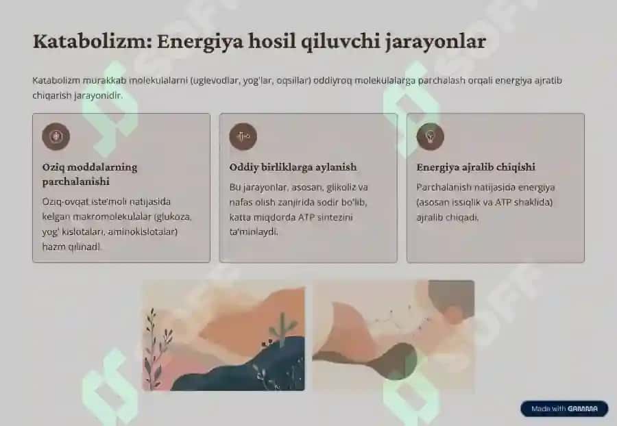 Metabolizm jarayonida energiya 4