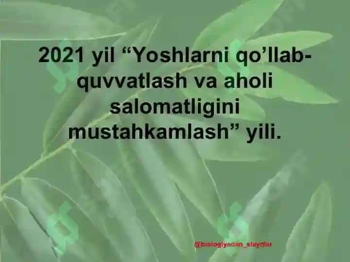 Hujayraning oziqlanishi 2