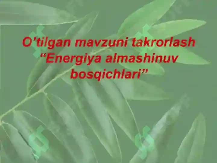 Hujayraning oziqlanishi 3