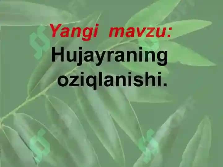 Hujayraning oziqlanishi 7