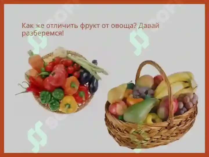Овощи и фрукты 4