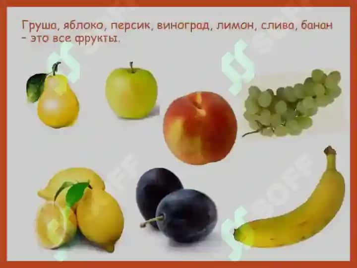 Овощи и фрукты 8