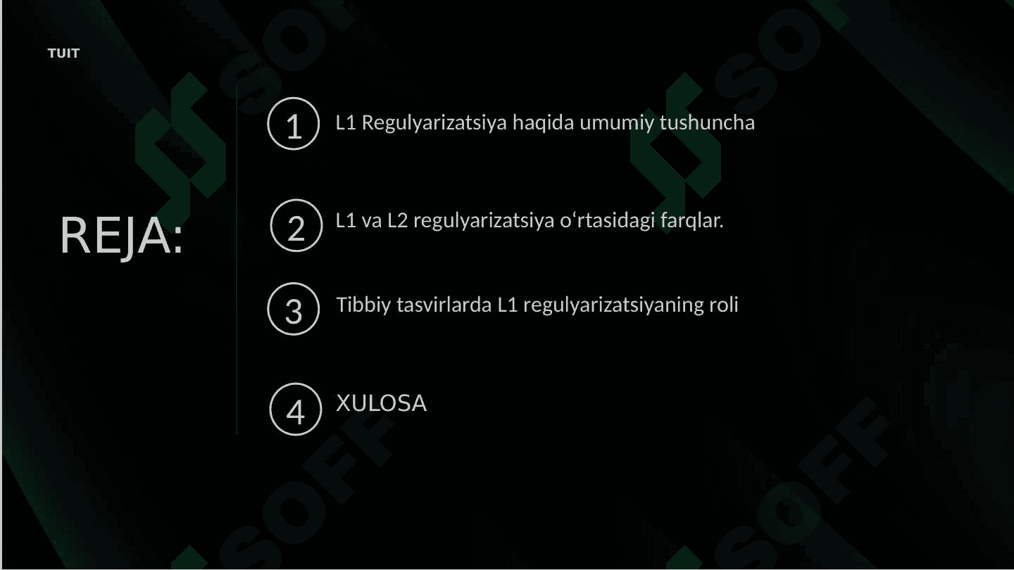 L1 regulyarizatsiyaning tibbiy tasvirlardagi roli 2