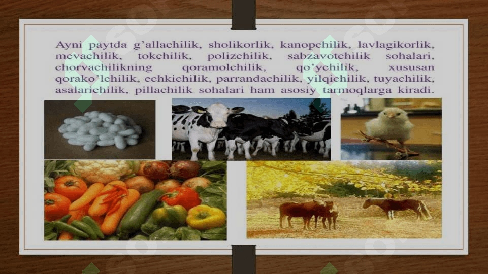 O'zbekistonda_Fermer_xo'jaliklari_va_Dehqon_xo'jaliklarining_import 8