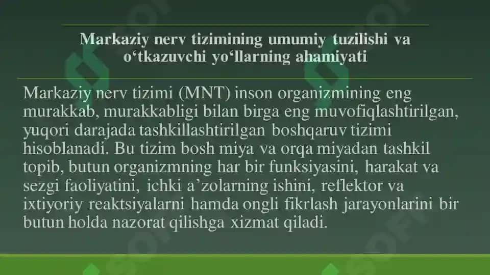 Markaziy nerv tizimining oʻtkazuvchi yoʻllari 3