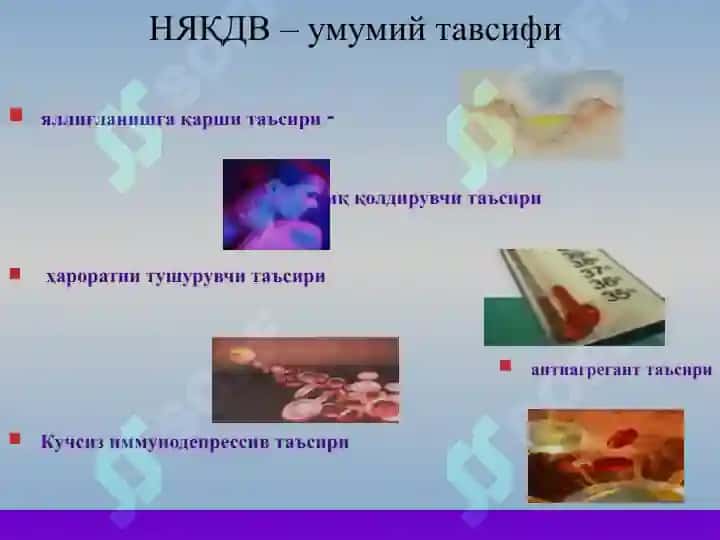 Стероид ва ностероид  яллиғланишга қарши дори воситалари.pptx 5