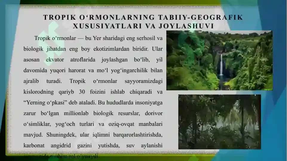 Xorijiy mamlakatlarning tropik oʻrmonlari 3