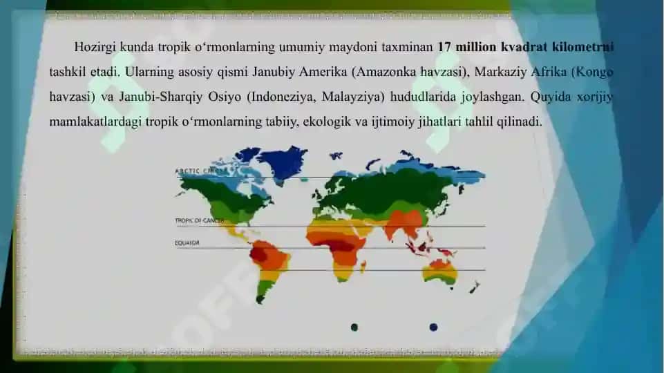 Xorijiy mamlakatlarning tropik oʻrmonlari 4