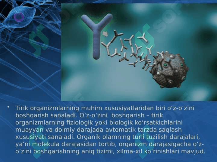 Tirik organizmlarda o‘z-o‘zini idora etish organlari gumoral va nerv 2