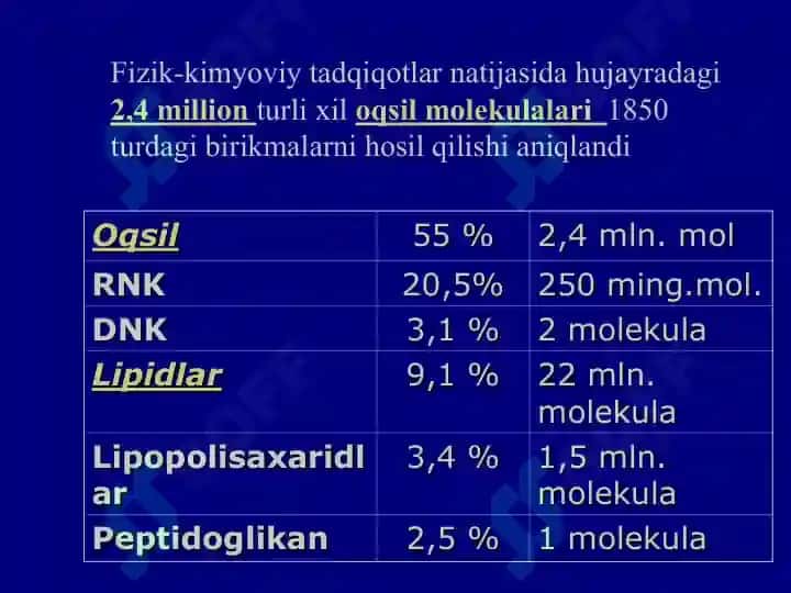 Bakteriyalar fiziologiyasi 5
