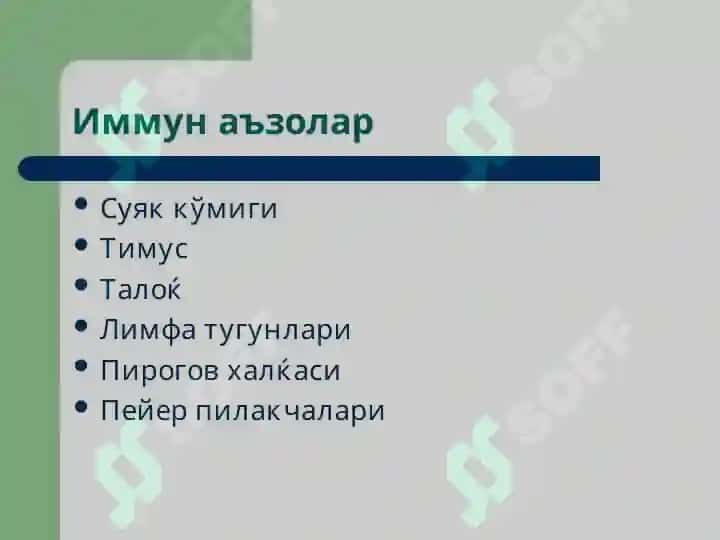 Immun tizim patafiziologiyasi 3