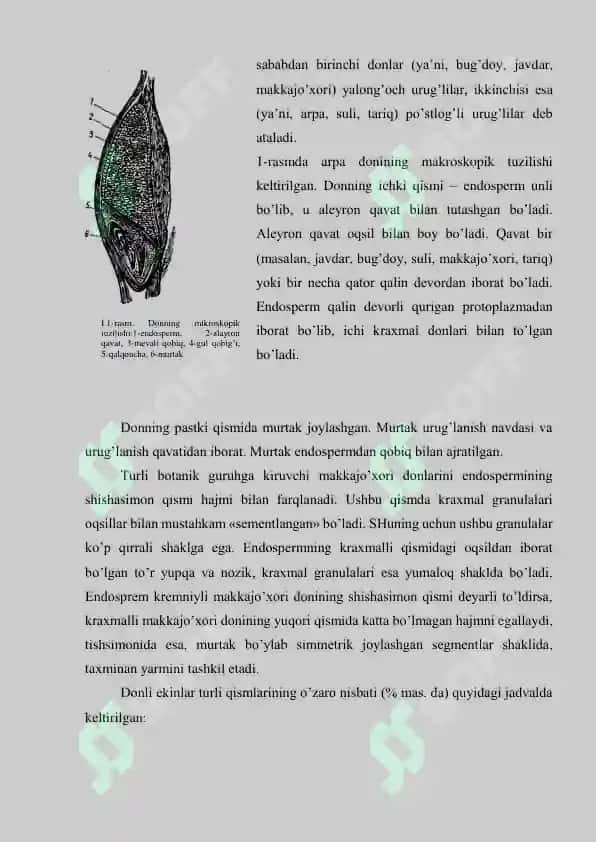Spirt ishlab chiqarishda qo’llaniladigan xom ashyolar 2