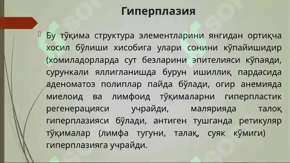 Усма 2