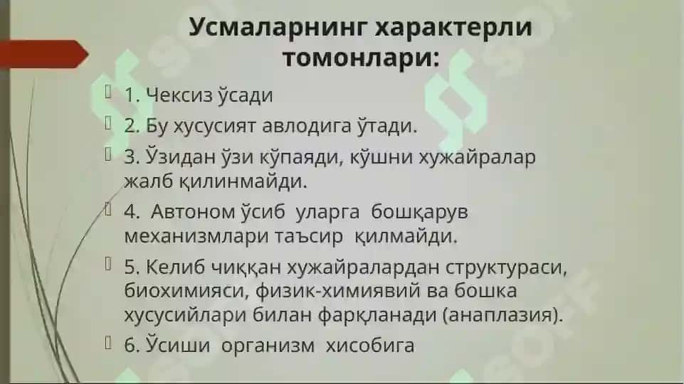Усма 6
