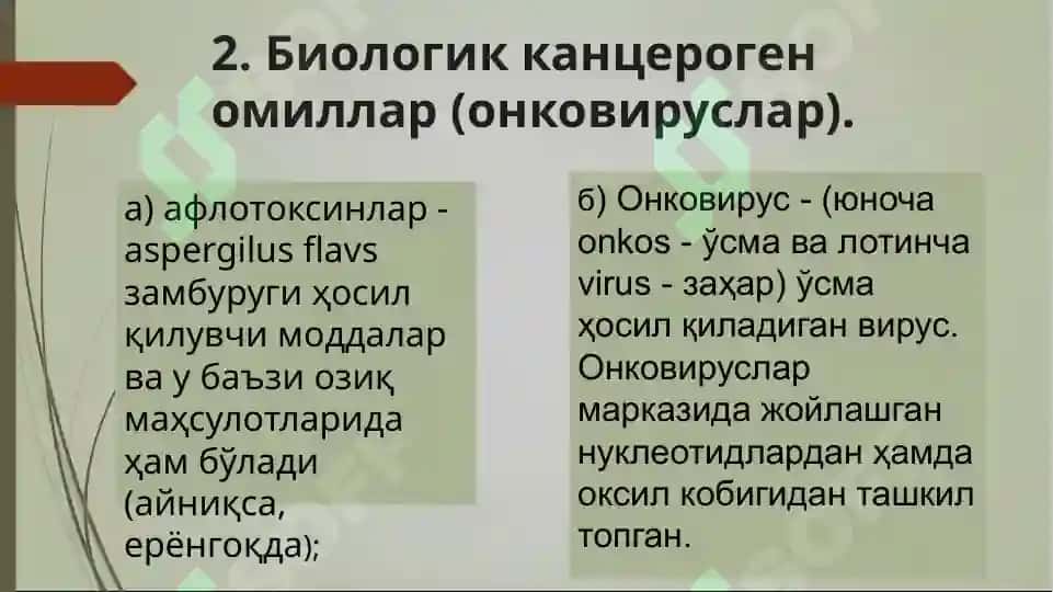 Усма 8