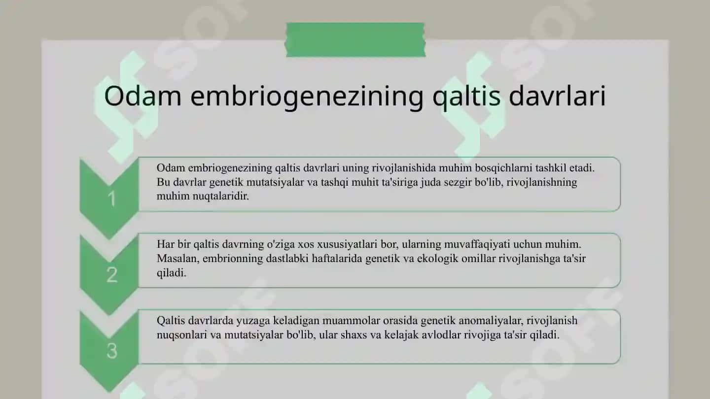 Embriogenezning qaltis davrlari 7