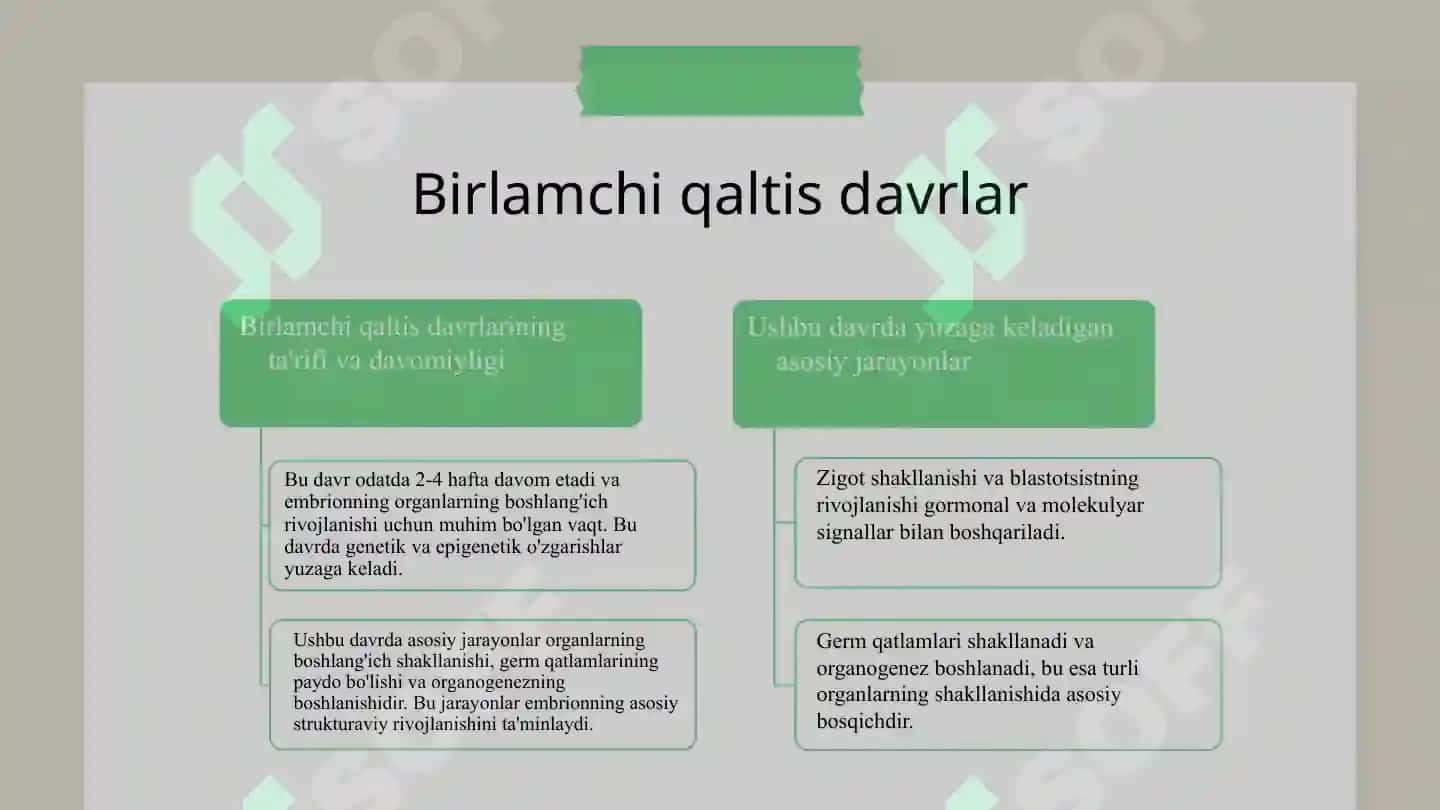 Embriogenezning qaltis davrlari 8