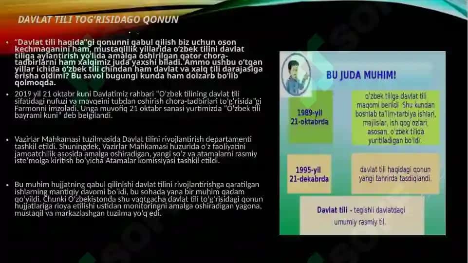 Davlat tili haqida giyoh va uning jirosi: muammolar 2