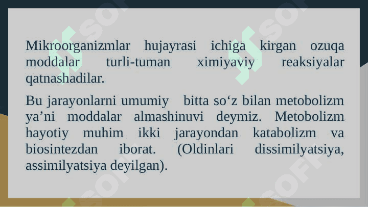 Katabolizm va Anabolizm 4