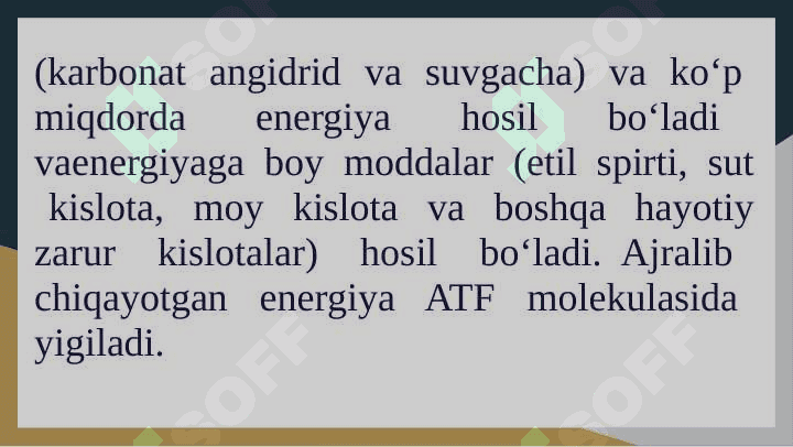 Katabolizmning umumiy yo’llari 3