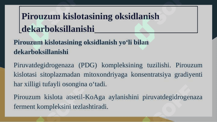 Katabolizmning umumiy yo’llari 5