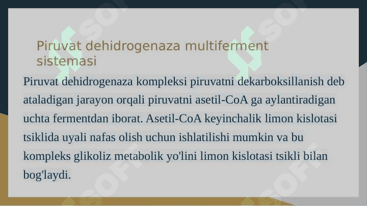 Katabolizmning umumiy yo’llari 7
