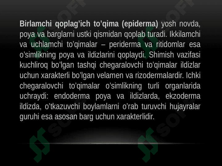 Qoplovchi to’qima 3