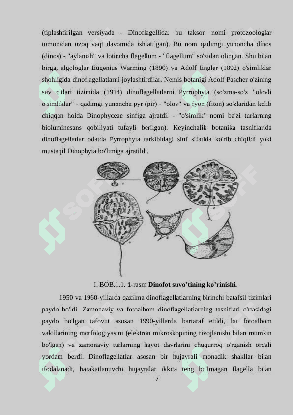 DINOFIT YOKI PIROFIT SUVO’TLARINING KLASSIFIKATSIYASI 6