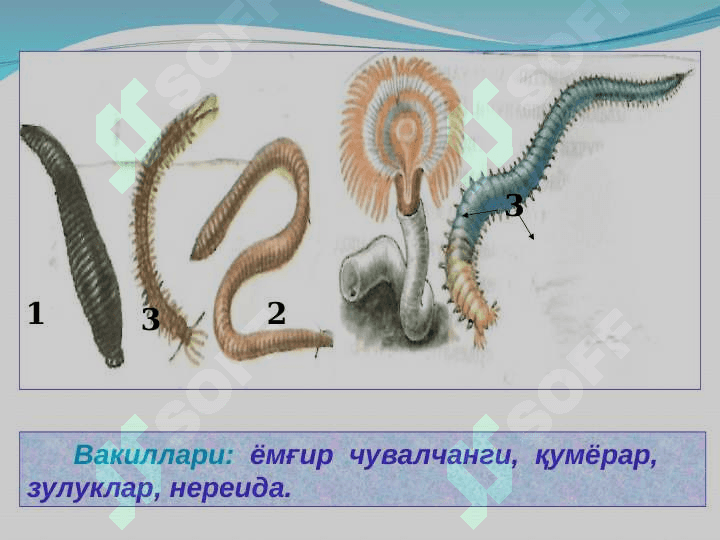 Xalqali chuvalchanglar 5