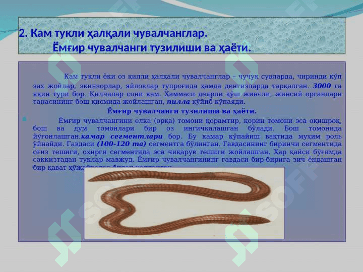 Xalqali chuvalchanglar 6