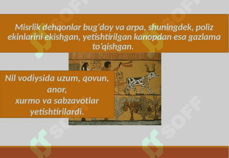 Sivilizatsiyalar tizimida Misr 8