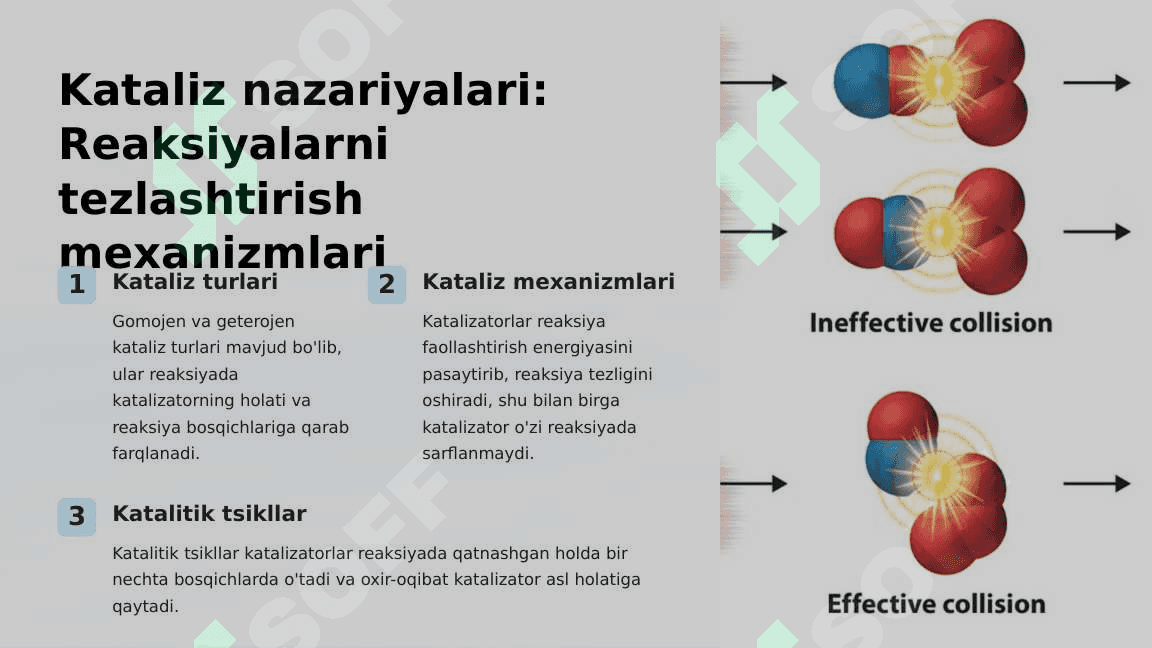 Biokimyo asoslari: Biogen elementlar va fermentlar 3