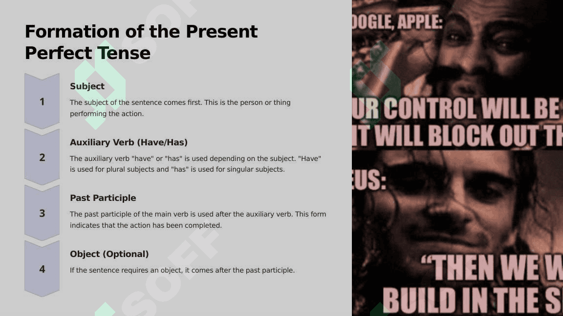 Present Perfect Tense 3