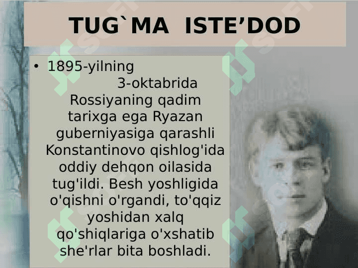 Sergey Yesenin 2