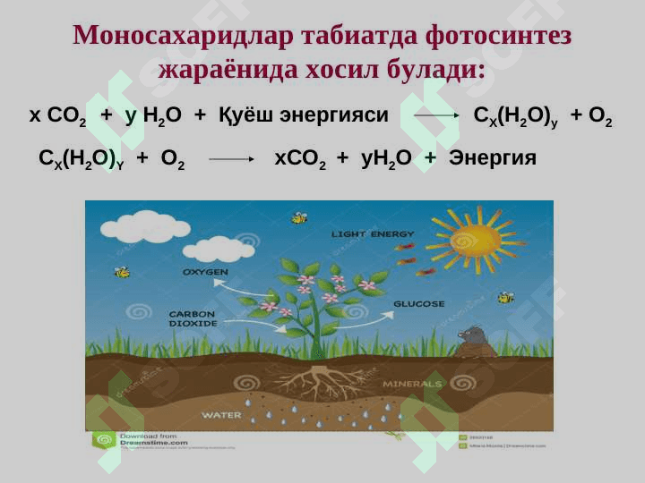 Biopolimerlar kimyosi. Karbonsuvlar. Oqsillar, nuklein kislotalar va lipidlarning kimyoviy tuzilishi va hossalari. 3