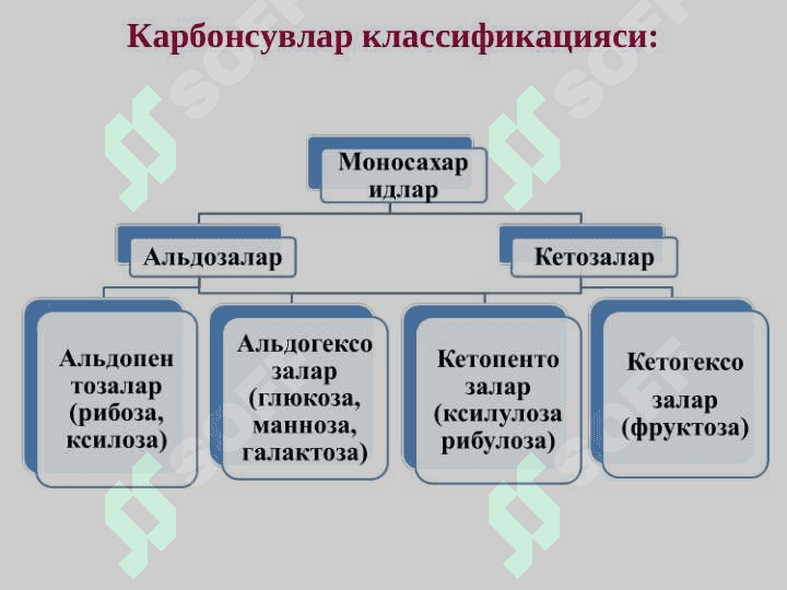 Biopolimerlar kimyosi. Karbonsuvlar. Oqsillar, nuklein kislotalar va lipidlarning kimyoviy tuzilishi va hossalari. 5