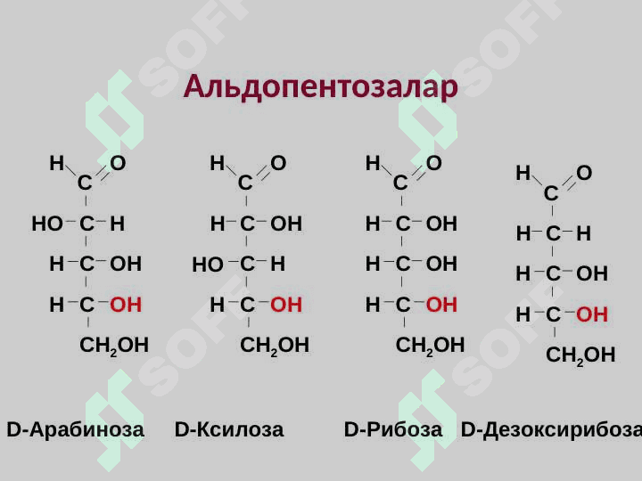 Biopolimerlar kimyosi. Karbonsuvlar. Oqsillar, nuklein kislotalar va lipidlarning kimyoviy tuzilishi va hossalari. 6