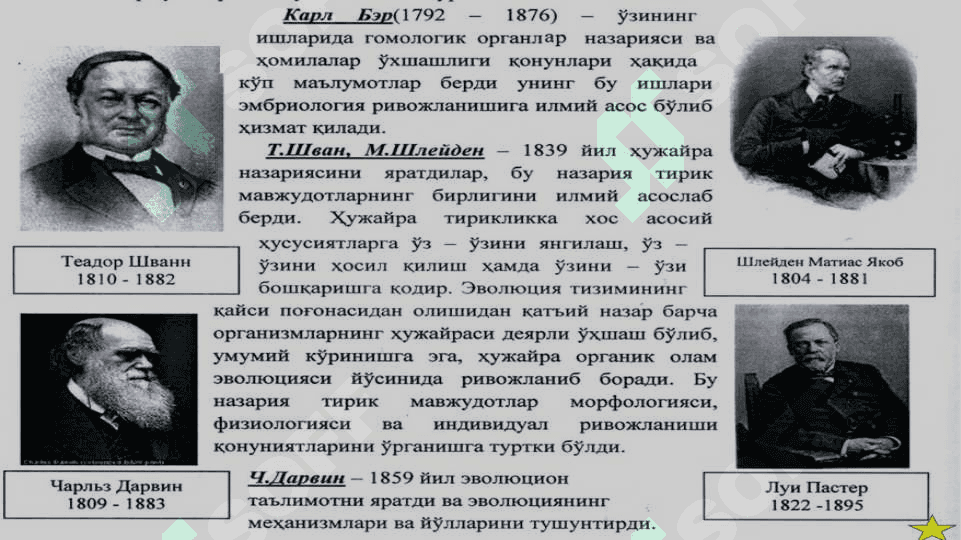 TIBBIY TA‘LIM TIZIMIDA BIOLOGIYANING TUTGAN O‘RNI. TIRIKLIKNING TUZILISH DARAJALARI VA XOSSALARI. 8