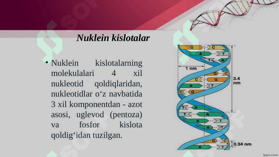 Tiriklikning molekulyar asoslari. Nuklein kislotalar va irsiy belgilarni nasldan-naslga o‘tishdagi roli. DNK ning oqsil biosintezidagi roli. O‘zgaruvchanlik va uning shakllari. 3