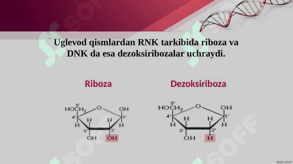 Tiriklikning molekulyar asoslari. Nuklein kislotalar va irsiy belgilarni nasldan-naslga o‘tishdagi roli. DNK ning oqsil biosintezidagi roli. O‘zgaruvchanlik va uning shakllari. 5
