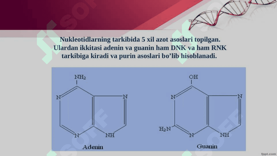 Tiriklikning molekulyar asoslari. Nuklein kislotalar va irsiy belgilarni nasldan-naslga o‘tishdagi roli. DNK ning oqsil biosintezidagi roli. O‘zgaruvchanlik va uning shakllari. 6
