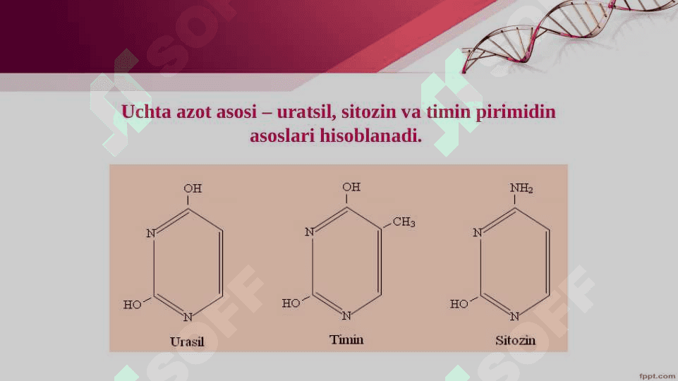 Tiriklikning molekulyar asoslari. Nuklein kislotalar va irsiy belgilarni nasldan-naslga o‘tishdagi roli. DNK ning oqsil biosintezidagi roli. O‘zgaruvchanlik va uning shakllari. 7